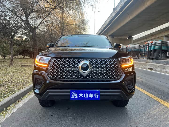 Great Wall Pao 2024 2024款 2.4T商用版自动柴油两驱精英型