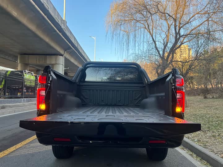 Great Wall Pao 2024 2024款 2.4T商用版自动柴油两驱精英型