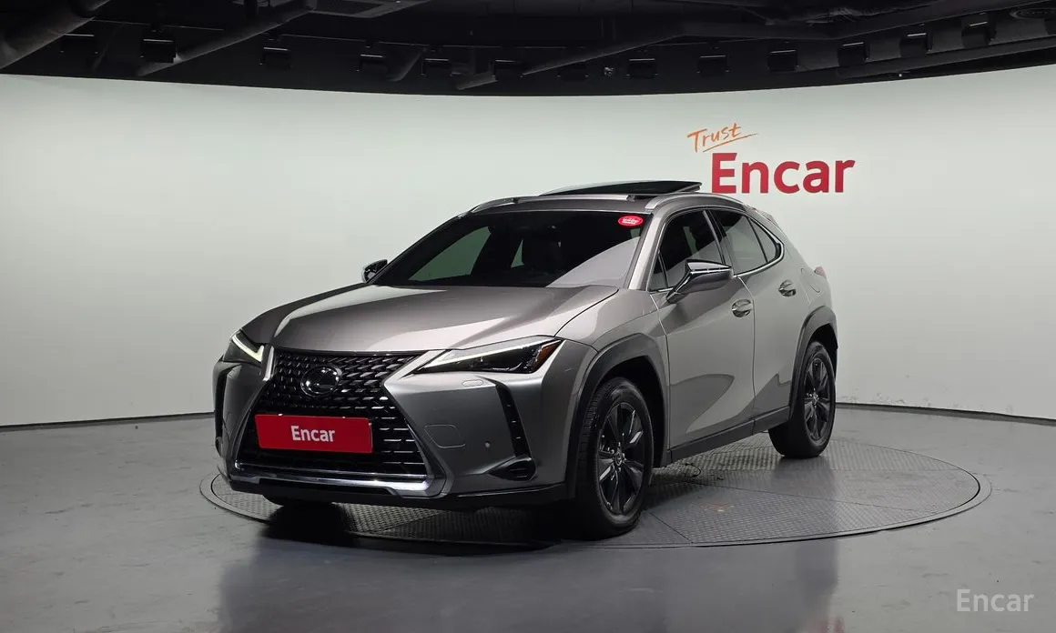 Lexus UX 2019 2.0 2WD