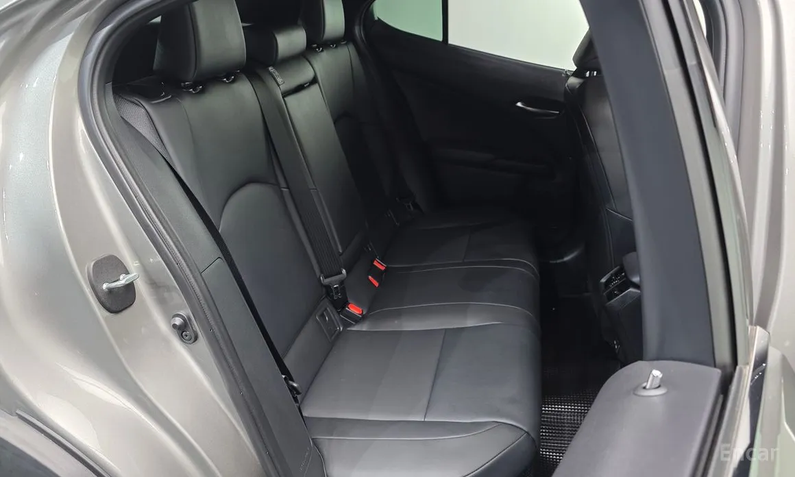 Lexus UX 2019 2.0 2WD