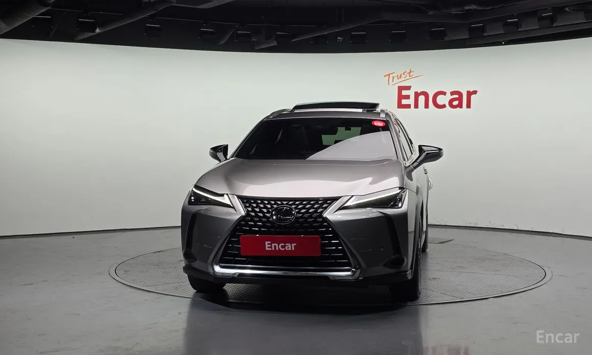 Lexus UX 2019 2.0 2WD