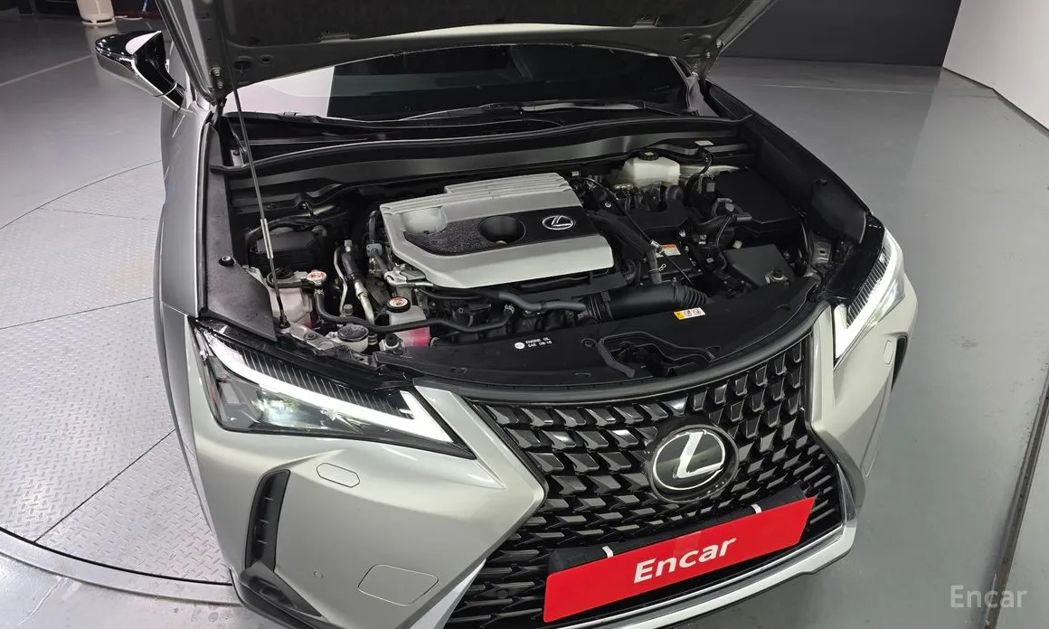 Lexus UX 2019 2.0 2WD