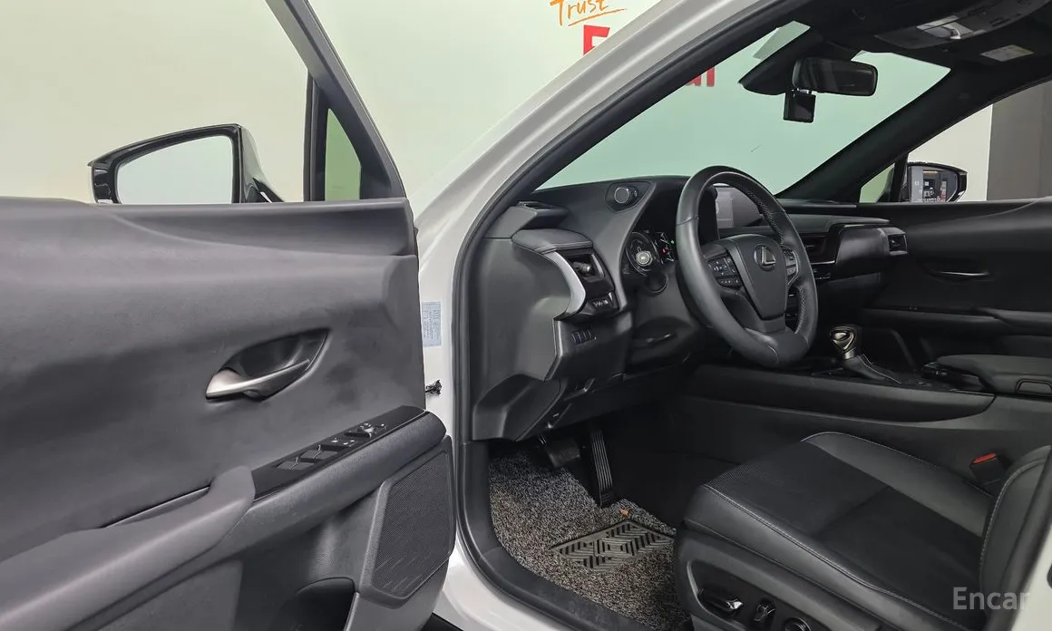 Lexus UX 2019 2.0 2WD