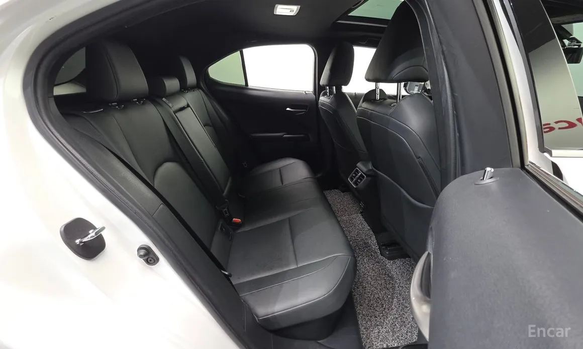 Lexus UX 2019 2.0 2WD