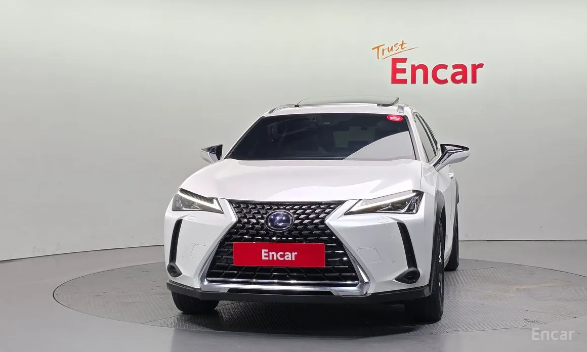 Lexus UX 2019 2.0 2WD