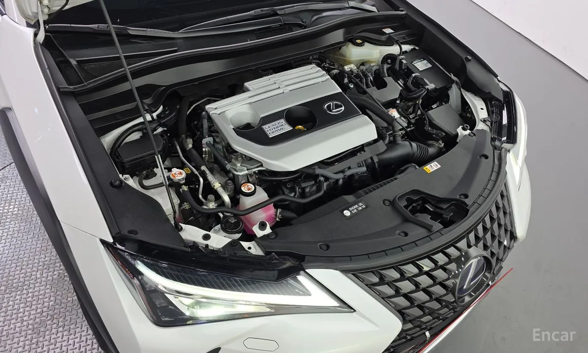 Lexus UX 2019 2.0 2WD