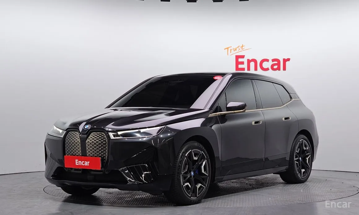 BMW iX 2021 xDrive40 First Edition