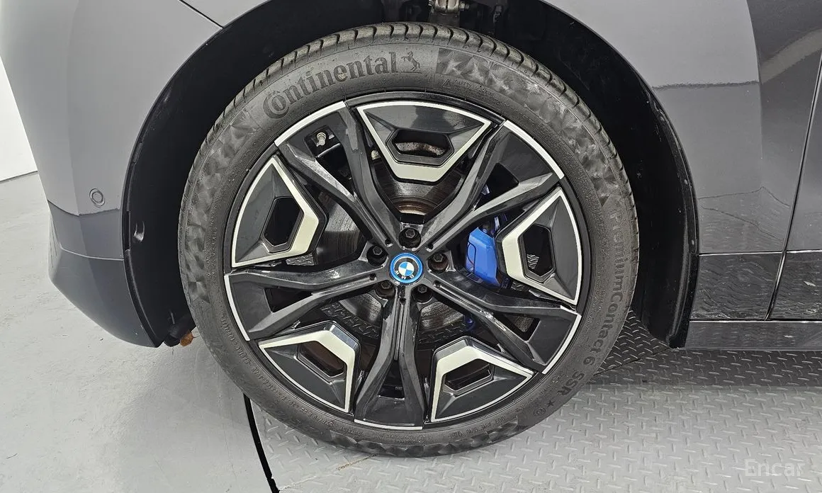 BMW iX 2021 xDrive40 First Edition