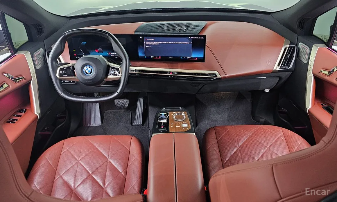 BMW iX 2021 xDrive40 First Edition