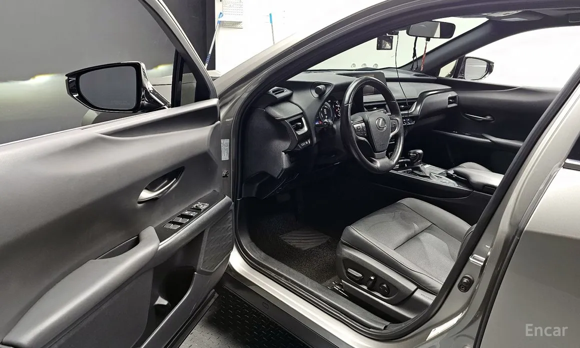 Lexus UX 2019 2.0 2WD