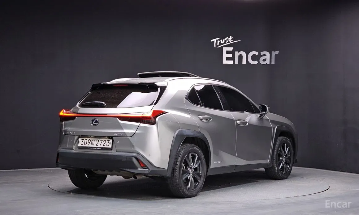 Lexus UX 2019 2.0 2WD