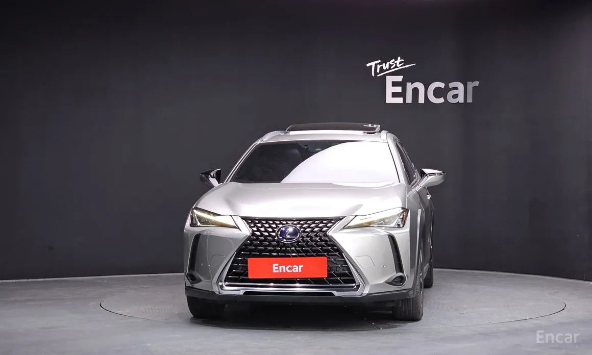 Lexus UX 2019 2.0 2WD