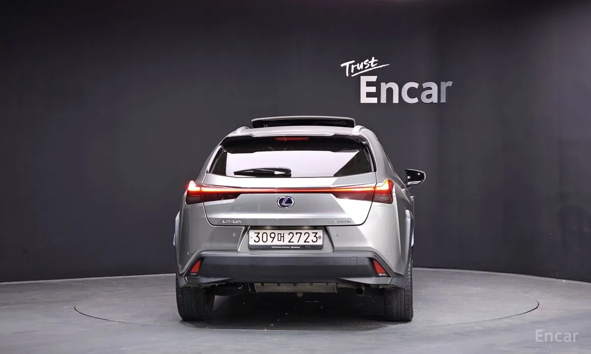 Lexus UX 2019 2.0 2WD