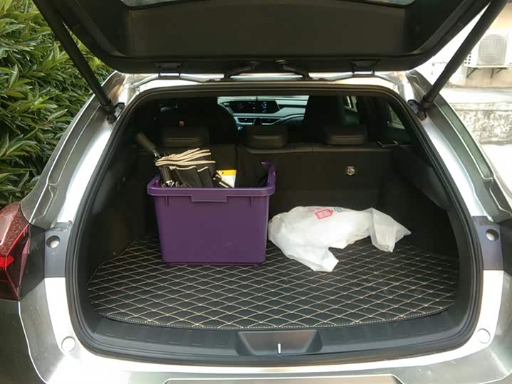 Lexus UX 2020 2020款 260h 探·享版