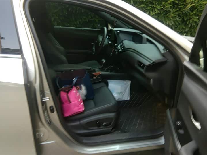 Lexus UX 2020 2020款 260h 探·享版