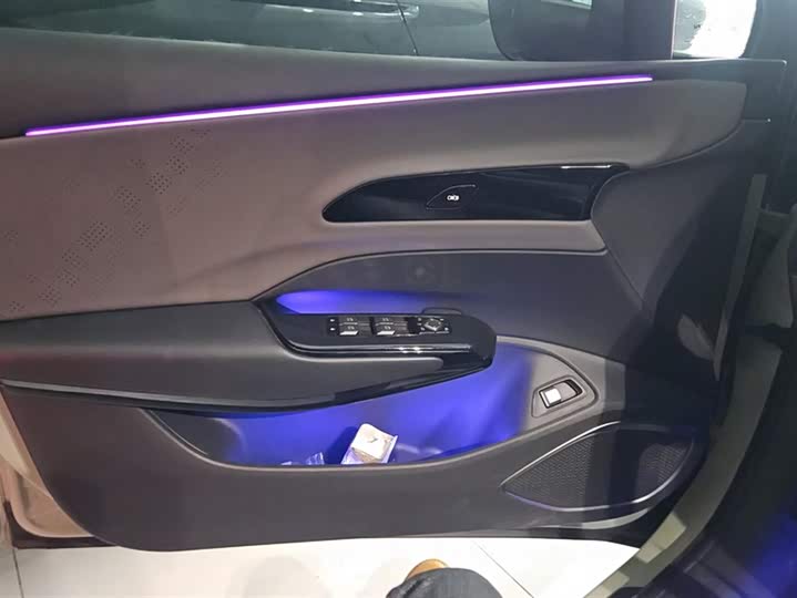 Hongqi EH7 2024 2024款 600 Pro