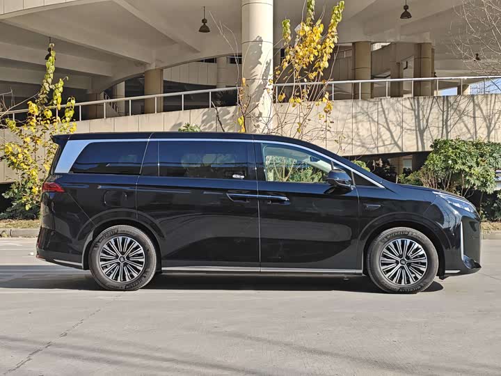 BYD Xia 2025 2025款 DM-i 1.5T 180km 卓越型