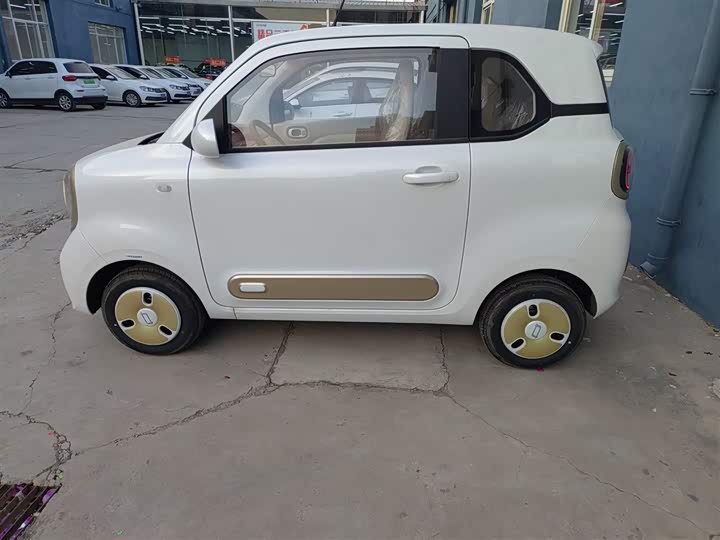 Bestune Pony 2026 2026款 222km 炫彩马