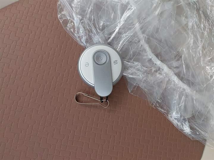 Bestune Pony 2026 2026款 222km 炫彩马