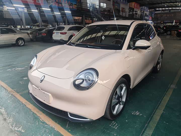 Ora Good Cat (03) 2024 2024款 401km 豪华型