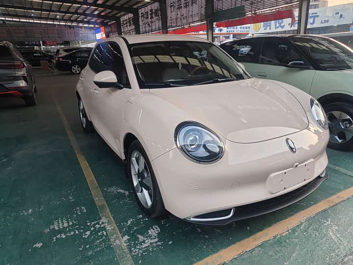 Ora Good Cat (03) 2024 2024款 401km 豪华型