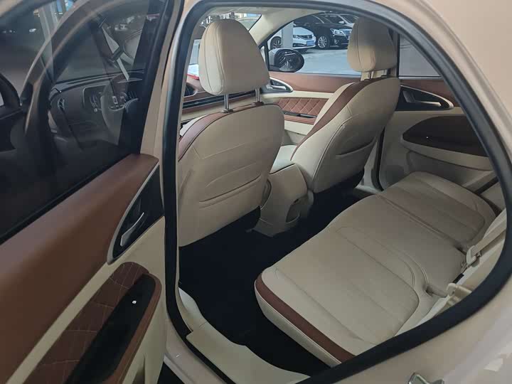 Ora Good Cat (03) 2024 2024款 401km 豪华型