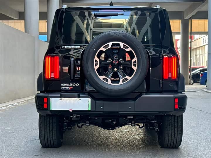 Tank 300 Hybrid 2025 2025款 Hi4-T 37.1kWh