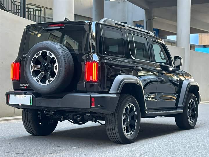 Tank 300 Hybrid 2025 2025款 Hi4-T 37.1kWh