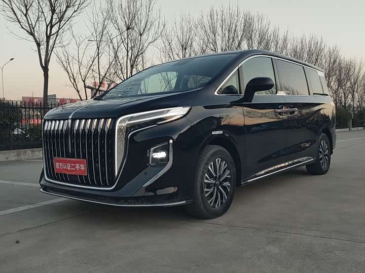 Hongqi HQ9 2024 2024款 2.0T 商务版