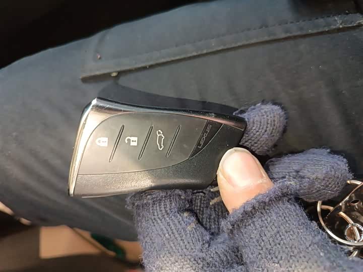 Lexus RX 2023 2023款 350h 四驱醇享版