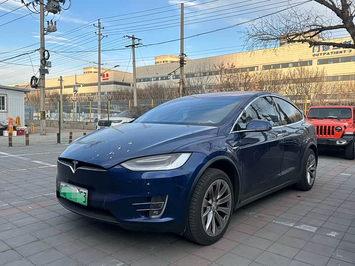 Tesla Model X 2020 2020款 长续航升级版