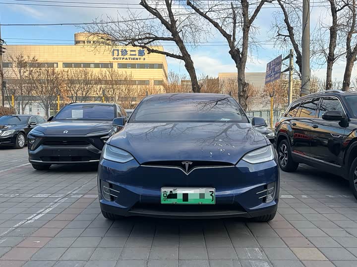 Tesla Model X 2020 2020款 长续航升级版