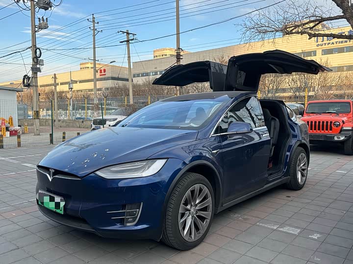 Tesla Model X 2020 2020款 长续航升级版