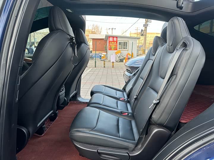 Tesla Model X 2020 2020款 长续航升级版