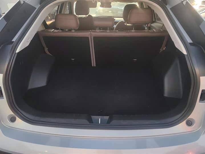 GAC Trumpchi GS4 2024 2024款 MAX 1.5T 旗舰版