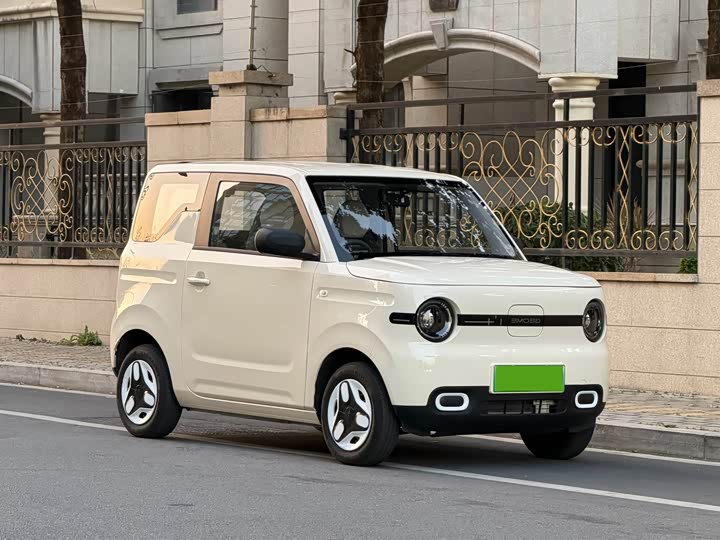 Geely Galaxy Panda Mini 2025 2025款 熊猫mini 210km 元气熊