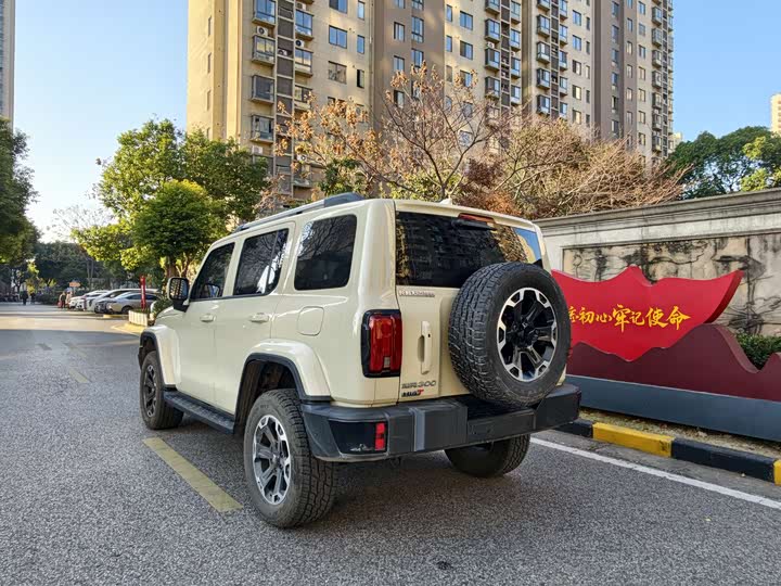 Tank 300 Hybrid 2025 2025款 Hi4-T 37.1kWh