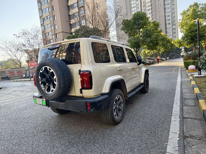 Tank 300 Hybrid 2025 2025款 Hi4-T 37.1kWh