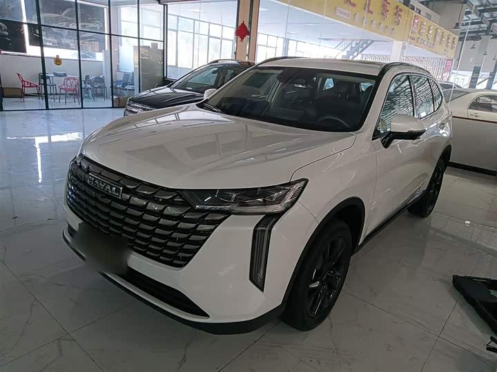 Haval H6 2024 2024款 1.5T 两驱Pro