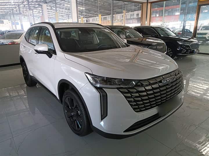 Haval H6 2024 2024款 1.5T 两驱Pro