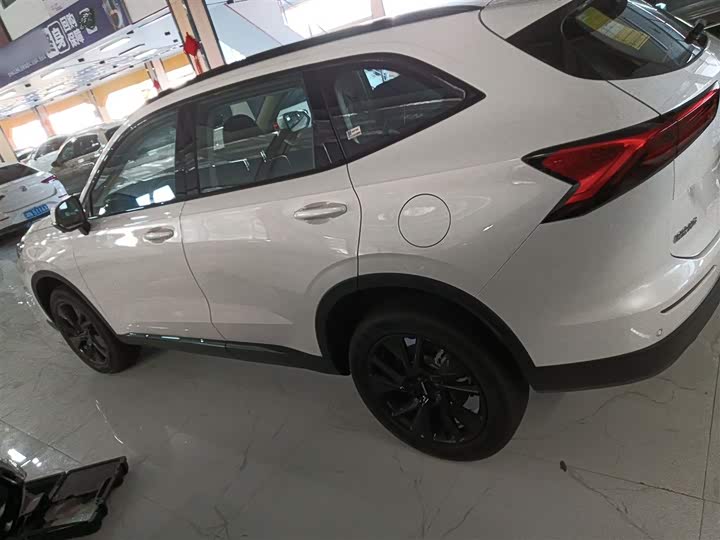 Haval H6 2024 2024款 1.5T 两驱Pro