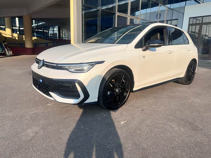 Volkswagen Golf 2025 2025款 300TSI R-Line