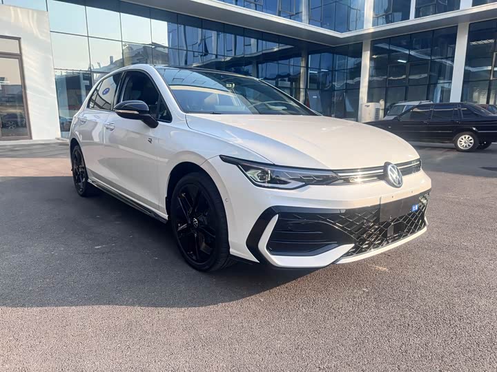 Volkswagen Golf 2025 2025款 300TSI R-Line
