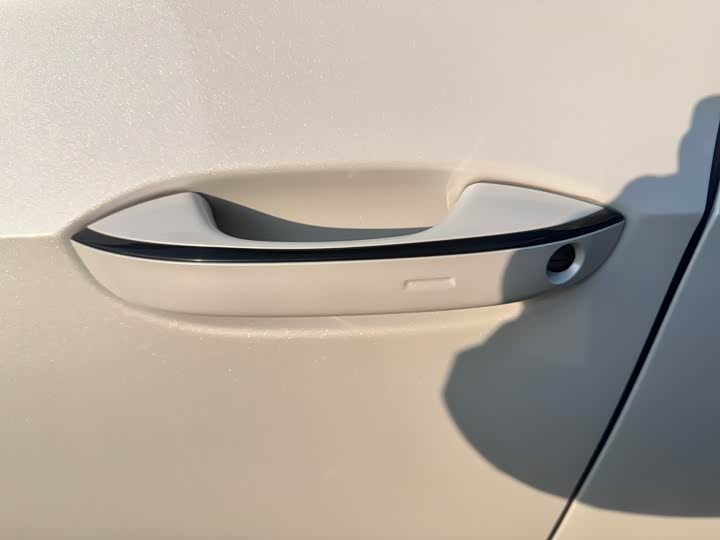 Volkswagen Golf 2025 2025款 300TSI R-Line