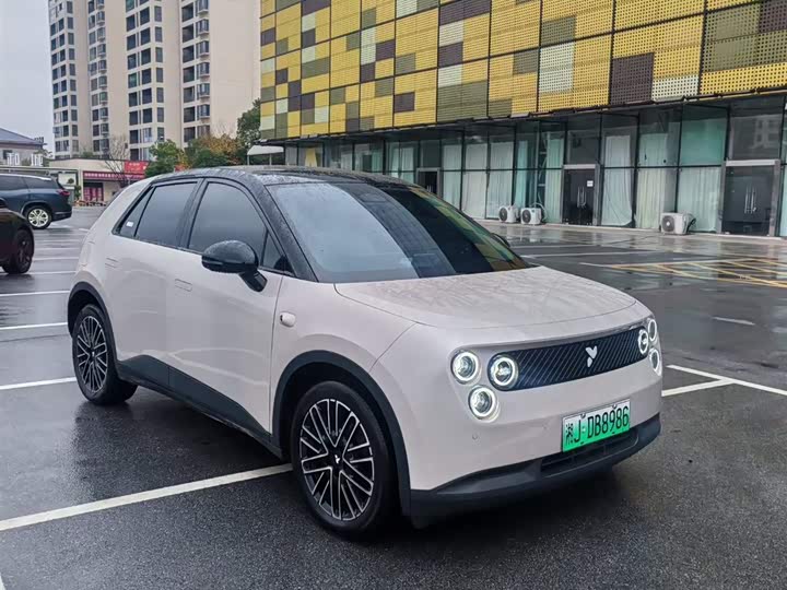 Geely Geometry E Firefly 2024 2024款 401km 萤光