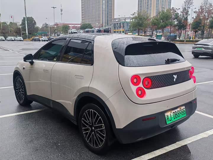 Geely Geometry E Firefly 2024 2024款 401km 萤光