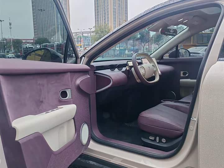 Geely Geometry E Firefly 2024 2024款 401km 萤光