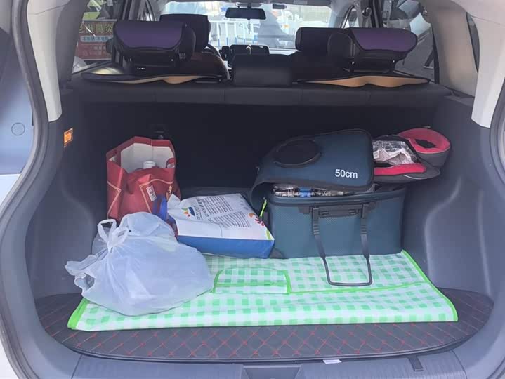 Bestune NAT 2023 2023款 PRO 悦享出行换电版 401km