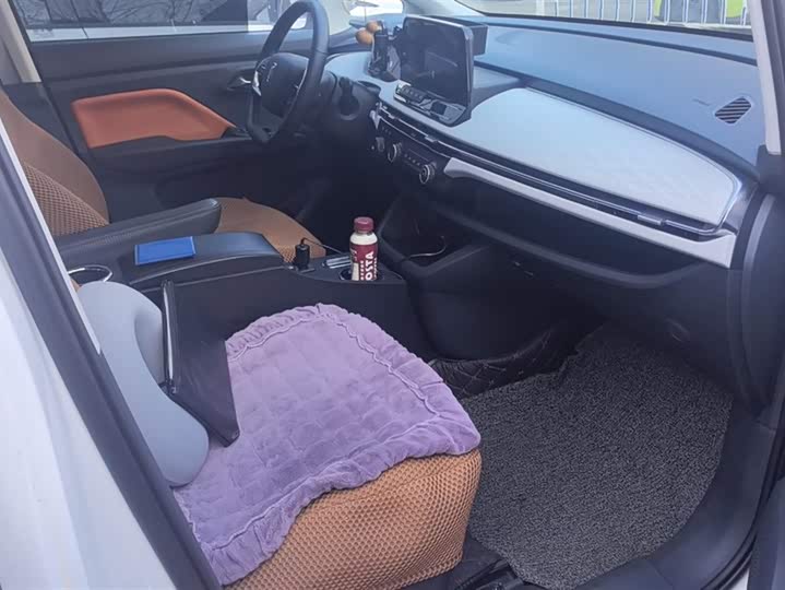 Bestune NAT 2023 2023款 PRO 悦享出行换电版 401km