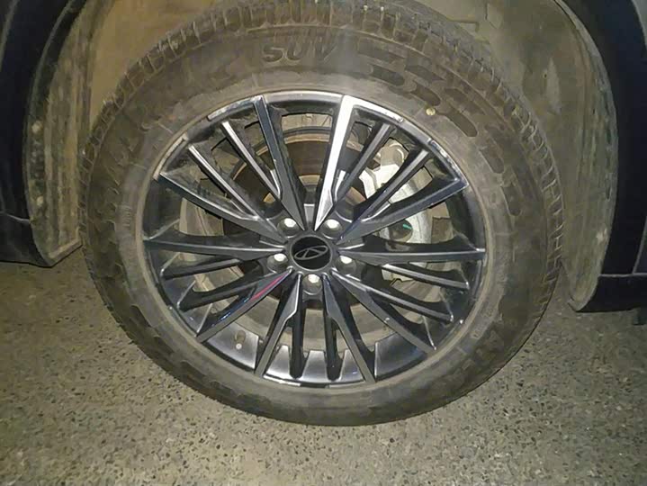 Chery Tiggo 8 Plus 2024 2024款 冠军版 290TGDI DCT豪情版 5座